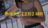 绝地求生【王权】辅助