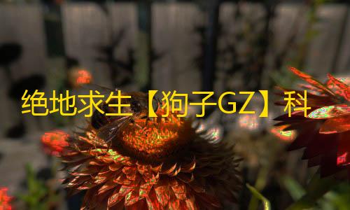绝地求生【狗子GZ】科技