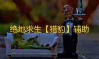 绝地求生【猎豹】辅助