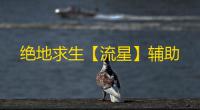 绝地求生【流星】辅助