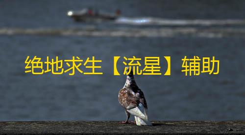 绝地求生【流星】辅助