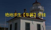 绝地求生【隼翼】外挂