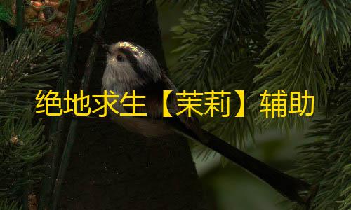 绝地求生【茉莉】辅助