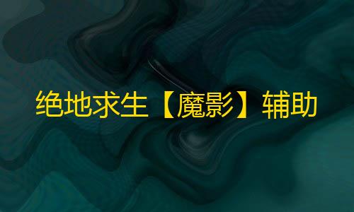 绝地求生【魔影】辅助