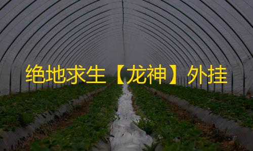 绝地求生【龙神】外挂