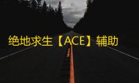绝地求生【ACE】辅助