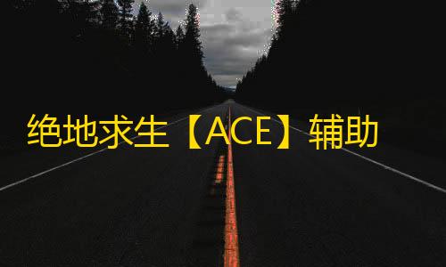 绝地求生【ACE】辅助