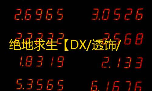 绝地求生【DX/透饰/预判梓喵/物资/雷达/过玄武磐石】辅助