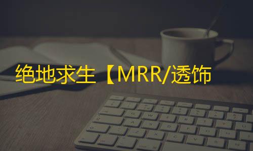 绝地求生【MRR/透饰/预判梓喵/物资/雷达/过玄武磐石】辅助