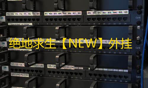 绝地求生【NEW】外挂