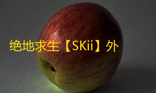 绝地求生【SKii】外挂